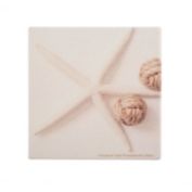 Thirstystone&reg; Rock Life Coaster