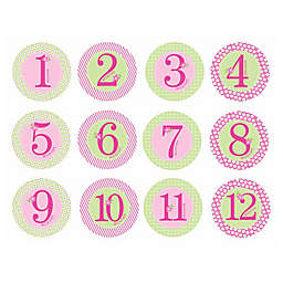 Pearhead Baby Girl First Year Belly Stickers
