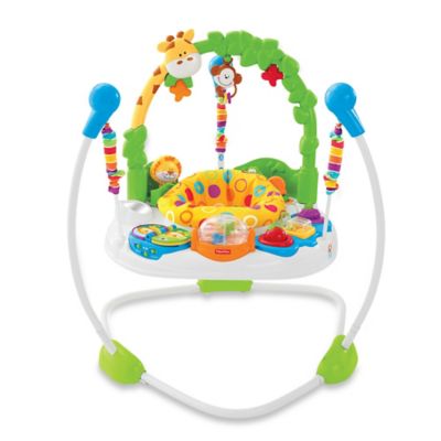 fisher jumperoo