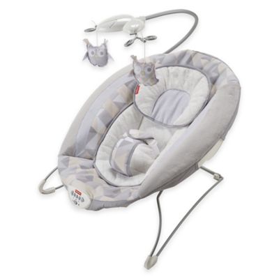 fisher price deluxe bouncer