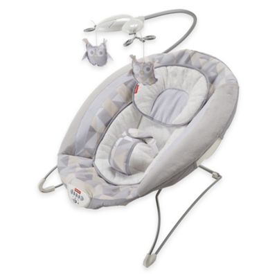 fisher price deluxe baby bouncer