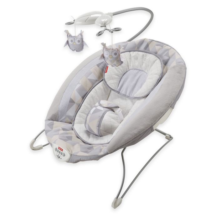 fisher-price deluxe bouncer snugapuppy