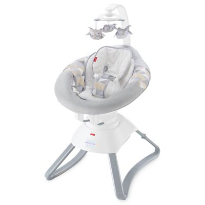 fisher price smart seat