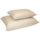 Alternate image 0 for Naturepedic&reg; Organic Cotton/PLA Low Fill Standard Pillow