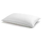 Alternate image 0 for Wamsutta&reg; Dream Zone&reg; White Goose Down Stomach/Back Sleeper Bed Pillow
