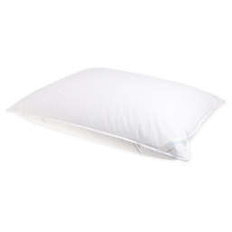 Nestwell™ Down & Feather Standard/Queen Pillow