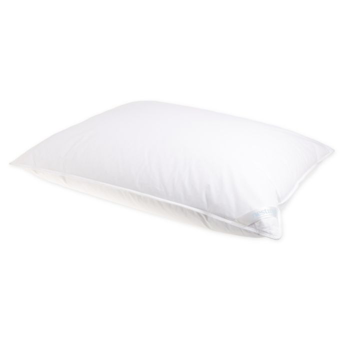 Nestwell™ Down & Feather Bed Pillow Bed Bath and Beyond Canada