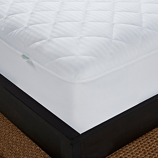 Cotton Comfort Waterproof Mattress Pad, Best Mattress Pad For Twin Bed