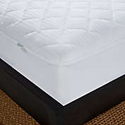 Nestwell&trade; Cotton Comfort Waterproof Twin XL Mattress Pad