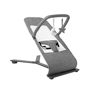 Baby Delight&reg; Go with Me Alpine Deluxe Portable Baby Bouncer in Charcoal. View a larger version of this product image.