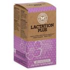 Alternate image 0 for Honest 60-Count Lactation Plus Supplement