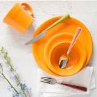 Alternate image 0 for Fiesta&reg; Dinnerware Collection in Butterscotch