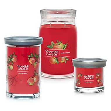 Yankee Candle&reg; Macintosh Signature Collection Candle Collection. View a larger version of this product image.