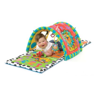 baby tunnel gym