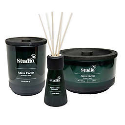 Studio 3B™ Agave Cactus Fragrance Collection