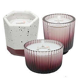 Studio 3B&trade; Fern Candle Collection