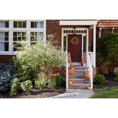 Tastefully Traditional Fall D&eacute;cor Collection. View a larger version of this product image.