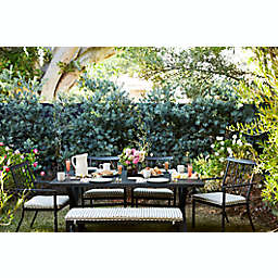 Bee & Willow™ Asbury Outdoor Furniture Collection