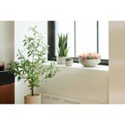 Studio 3B&trade; Natural Elements Collection