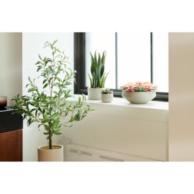 Studio 3B&trade; Natural Elements Collection. View a larger version of this product image.