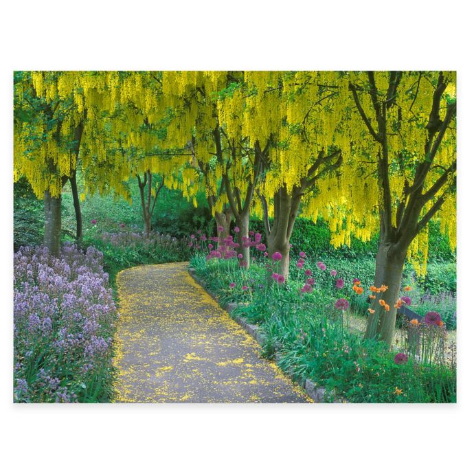 Goldenchain Tree All Weather Outdoor Canvas Wall Art Bed Bath Beyond