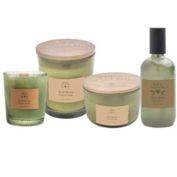 Bee &amp; Willow&trade; Refreshing Herb Reed Fragrance Collection