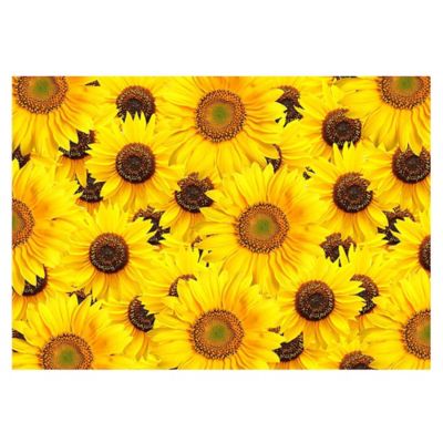 Plush Decorative Kitchen Mat with Non Slip Backing Ambesonne Sunflower Kitchen Mat 47 X 19 Helianthus Sunflowers Against Weathered Aged Fence Summer Garden Photo Brown Yellow