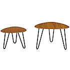 Alternate image 0 for Forest Gate&trade; 2-Piece Nesting Coffee Table Set in Walnut