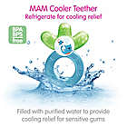 Alternate image 2 for MAM Cooler Teether in Blue