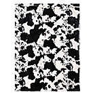 Alternate image 0 for Trend Lab&reg; Cow Print Receiving Blanket in Black/White
