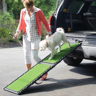 gen7pets natural step ramp