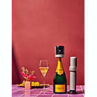 Alternate image 10 for Coravin&reg; Sparkling&trade; Sparkling Wine Preservation System