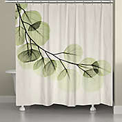 Laural Home&reg; Eucalyptus 72-Inch x 71-Inch Shower Curtain