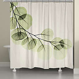 Laural Home® Eucalyptus 72-Inch x 71-Inch Shower Curtain