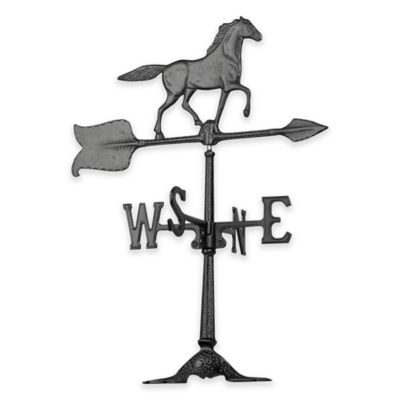 horse products for sale