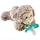 Alternate image 0 for RaZbaby&reg; RaZbuddy Monkey Pacifier Holder with Removeable JollyPop Pacifier