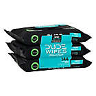 Alternate image 0 for Dude Wipes&reg; 3-Pack Mint Chill Flushable Wipes