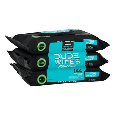 Dude Wipes&reg; 3-Pack Mint Chill Flushable Wipes
