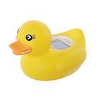 Alternate image 1 for Dreambaby&reg; Room and Bath Duck Thermometer