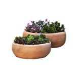 Planters & Plant Stands