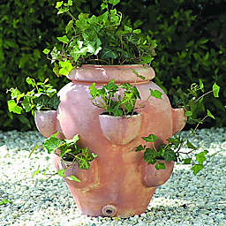 Campania Tascandi Strawberry Jar Planter in Terra Cotta (Set of 2)