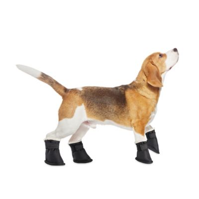 buy dog boots online