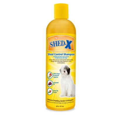 dander control shampoo for dogs