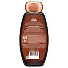Alternate image 1 for Garnier&reg; Whole Blends&trade; 12.5 oz. Smoothing Shampoo with Coconut Oil & Cocoa Butter