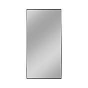 NeuType 47.2-Inch x 21.7-Inch Full Length Vanity Hanging Mirror in Black