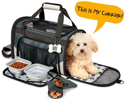 tutto dog carrier