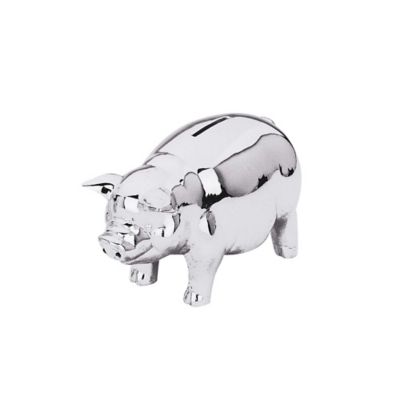 silver piggy bank for baby