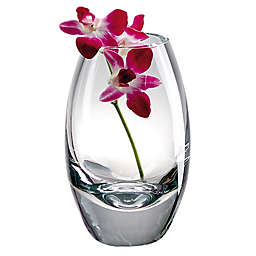 Badash Radiant 9-Inch Vase