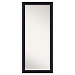 29.13-Inch x 65.13-Inch Annatto Floor Mirror in Black