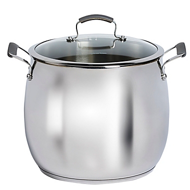 Epicurious Stainless Steel 16 qt. Covered Stock Pot. View a larger version of this product image.
